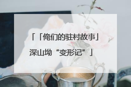 「俺们的驻村故事」深山坳“变形记”