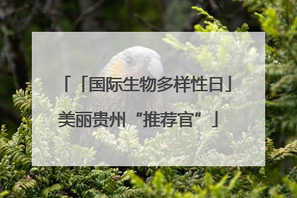 「国际生物多样性日」美丽贵州“推荐官”