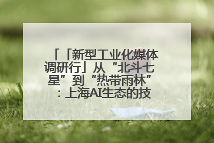 「新型工业化媒体调研行」从“北斗七星”到“热带雨林”：上海AI生态的技术商业共生密码