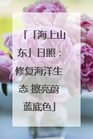 「海上山东」日照：修复海洋生态 擦亮蔚蓝底色