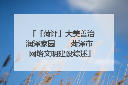 「菏评」大美善治润泽家园——菏泽市网络文明建设综述