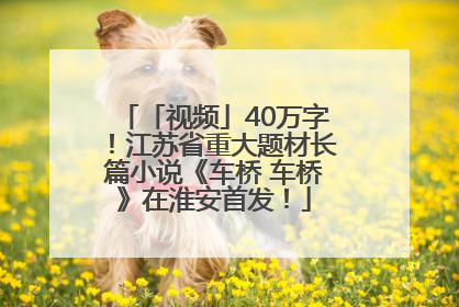 「视频」40万字！江苏省重大题材长篇小说《车桥 车桥》在淮安首发！