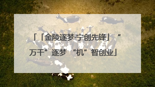 「金陵逐梦·宁创先锋」“万千”逐梦 “机”智创业