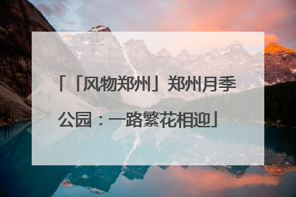 「风物郑州」郑州月季公园：一路繁花相迎