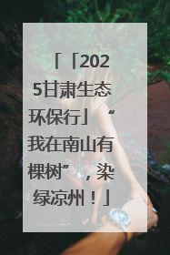 「2025甘肃生态环保行」“我在南山有棵树”，染绿凉州！