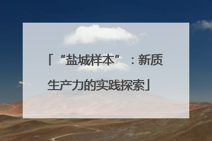 “盐城样本”：新质生产力的实践探索