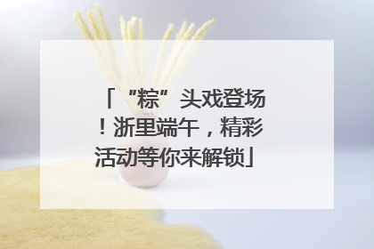 “粽”头戏登场！浙里端午，精彩活动等你来解锁