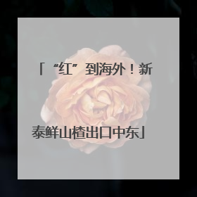 “红”到海外！新泰鲜山楂出口中东
