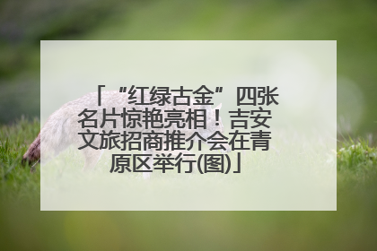 “红绿古金”四张名片惊艳亮相！吉安文旅招商推介会在青原区举行(图)