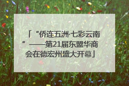 “侨连五洲·七彩云南”——第21届东盟华商会在德宏州盛大开幕