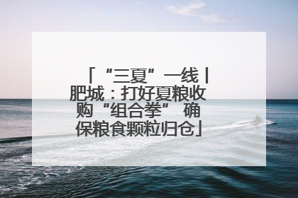 “三夏”一线丨肥城：打好夏粮收购“组合拳” 确保粮食颗粒归仓