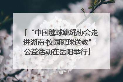 “中国毽球跳绳协会走进湖南·校园毽球送教”公益活动在岳阳举行