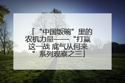 “中国饭碗”里的农机力量——“打赢这一战 底气从何来”系列观察之三