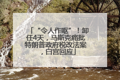 “令人作呕”！卸任4天，马斯克痛批特朗普政府税改法案，白宫回应