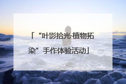 “叶影拾光·植物拓染”手作体验活动