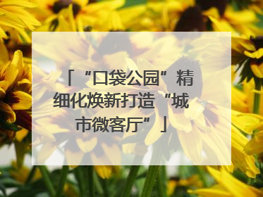 “口袋公园”精细化焕新打造“城市微客厅”