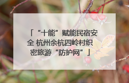 “十能”赋能民宿安全 杭州余杭四岭村织密旅游“防护网”