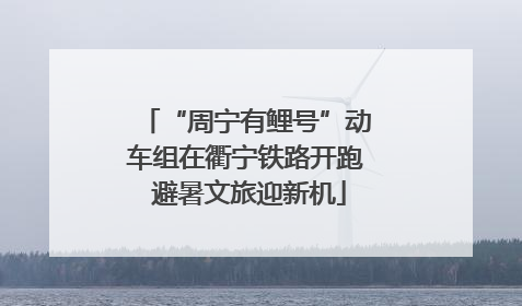 “周宁有鲤号”动车组在衢宁铁路开跑 避暑文旅迎新机