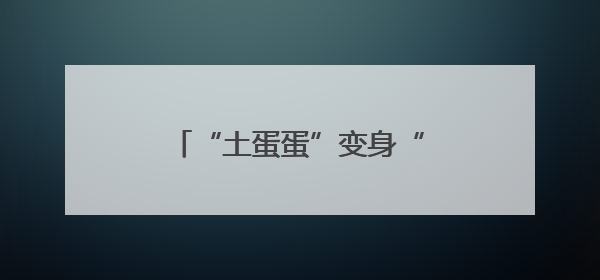 “土蛋蛋”变身“金疙瘩”：孙伯镇西程村土豆丰收记
