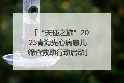 “天使之旅”2025青海先心病患儿筛查救助行动启动