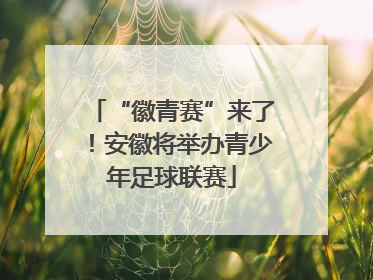 “徽青赛”来了！安徽将举办青少年足球联赛