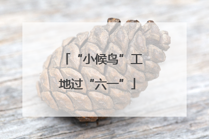 “小候鸟”工地过“六一”