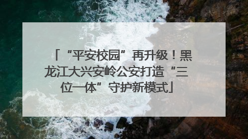 “平安校园”再升级！黑龙江大兴安岭公安打造“三位一体”守护新模式
