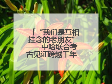 “我们是互相挂念的老朋友”——中哈联合考古见证跨越千年的文明交响