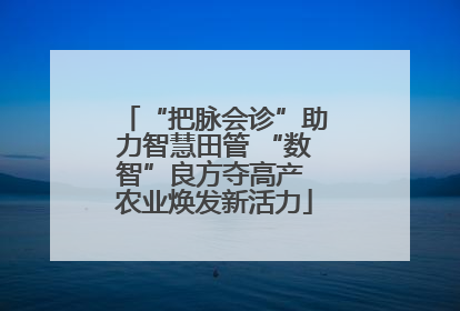 “把脉会诊”助力智慧田管 “数智”良方夺高产 农业焕发新活力