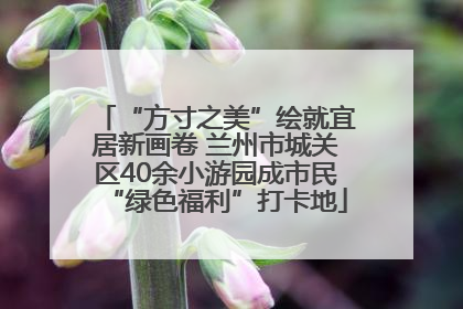 “方寸之美”绘就宜居新画卷 兰州市城关区40余小游园成市民“绿色福利”打卡地