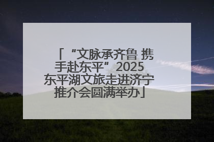 “文脉承齐鲁 携手赴东平”2025东平湖文旅走进济宁推介会圆满举办