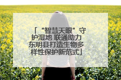 “智慧天眼”守护湿地 联通助力东明县打造生物多样性保护新范式
