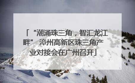 “潮涌珠三角，智汇龙江畔” 漳州高新区珠三角产业对接会在广州召开