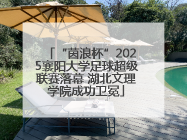 “茵浪杯”2025襄阳大学足球超级联赛落幕 湖北文理学院成功卫冕