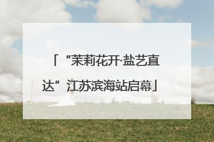 “茉莉花开·盐艺直达”江苏滨海站启幕