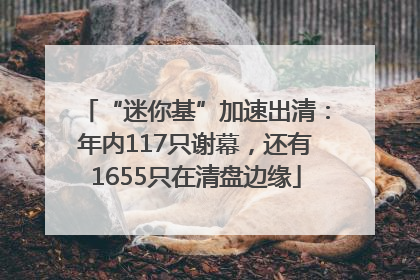 “迷你基”加速出清：年内117只谢幕，还有1655只在清盘边缘