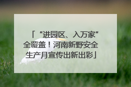 “进园区、入万家”全覆盖！河南新野安全生产月宣传出新出彩