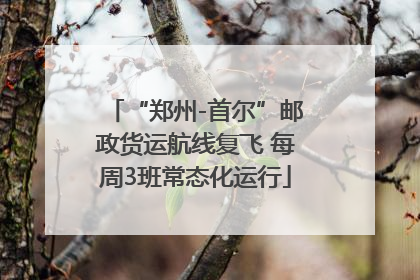 “郑州-首尔”邮政货运航线复飞 每周3班常态化运行