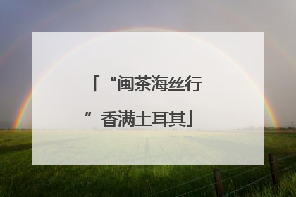 “闽茶海丝行”香满土耳其