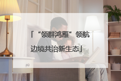 “领群鸿雁”领航边境共治新生态