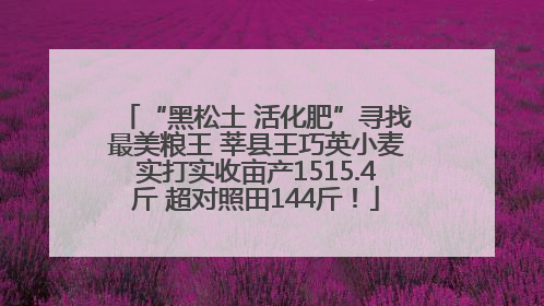 “黑松土 活化肥”寻找最美粮王 莘县王巧英小麦实打实收亩产1515.4斤 超对照田144斤！
