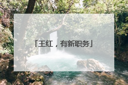 王红，有新职务