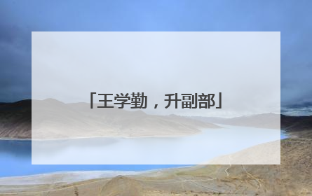 王学勤，升副部