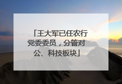 王大军已任农行党委委员，分管对公、科技板块