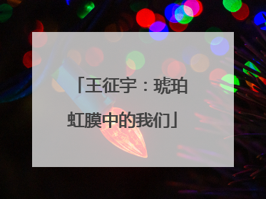 王征宇：琥珀虹膜中的我们