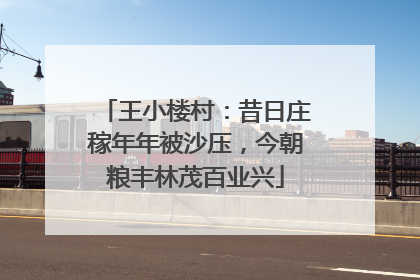 王小楼村：昔日庄稼年年被沙压，今朝粮丰林茂百业兴