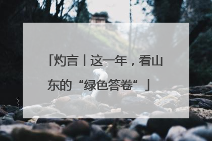 灼言丨这一年，看山东的“绿色答卷”