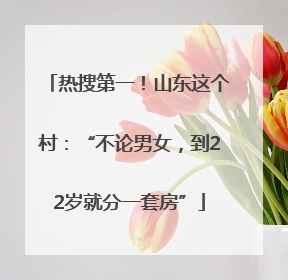 热搜第一！山东这个村：“不论男女，到22岁就分一套房”