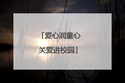 爱心润童心 关爱进校园