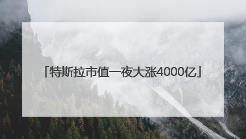 特斯拉市值一夜大涨4000亿
